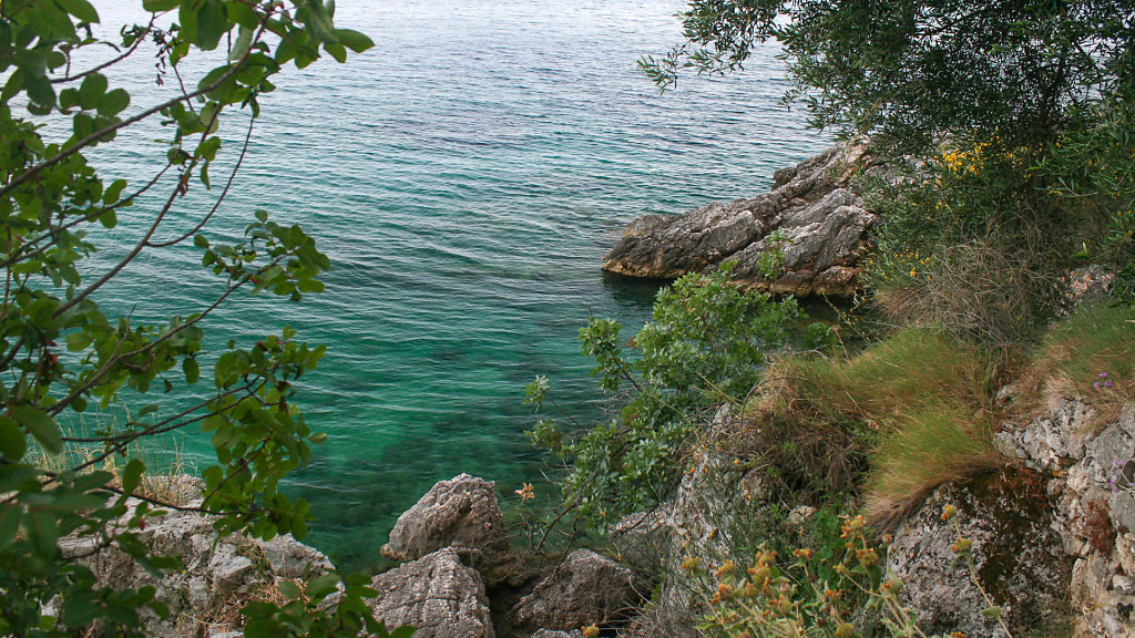 IMG-6939.jpg