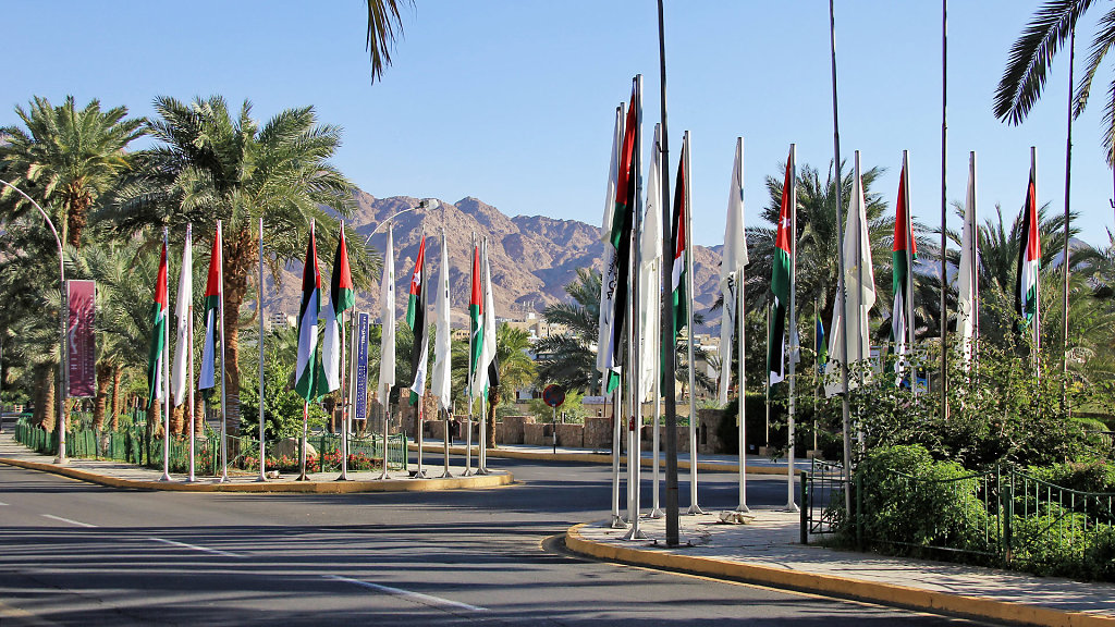 IMG-8645.jpg