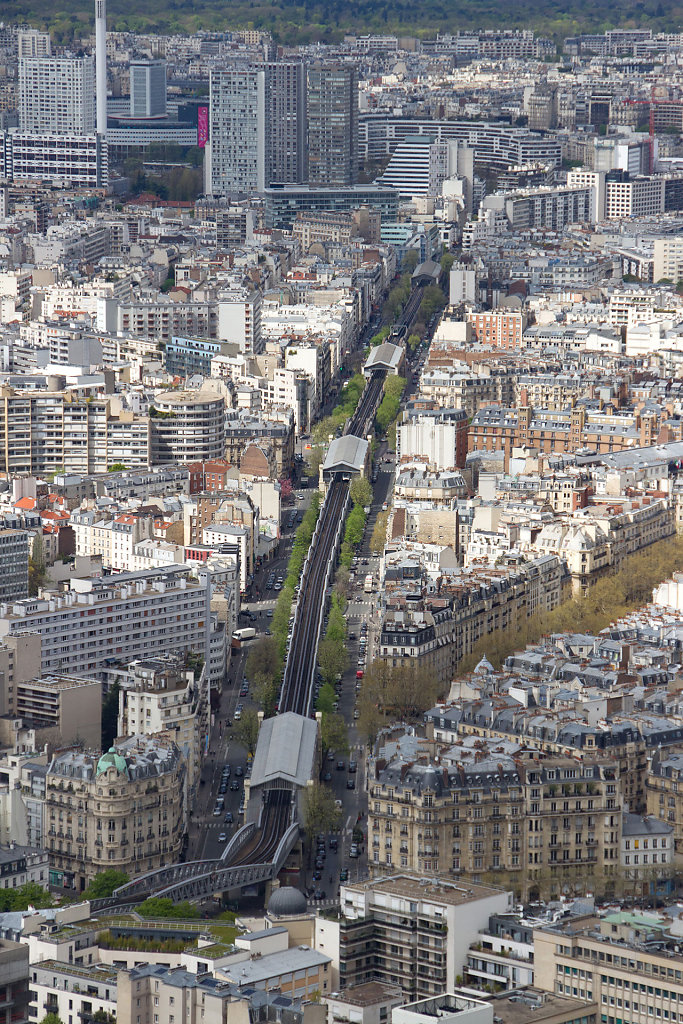 IMG-8203.jpg