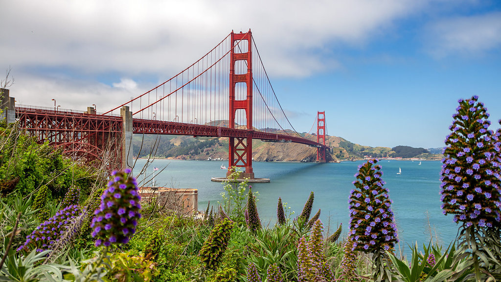 SFO-0269.jpg