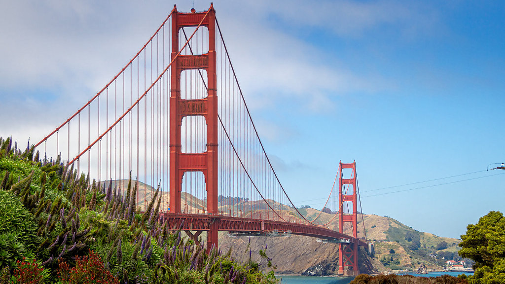 SFO-0280.jpg
