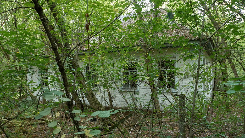 KBP-0561.jpg