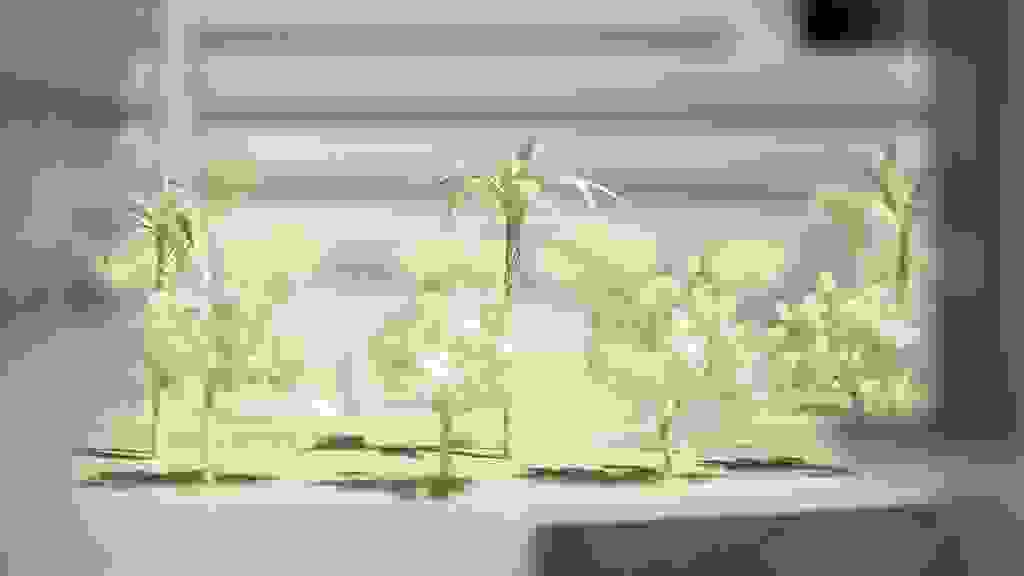 WAW-0124.jpg