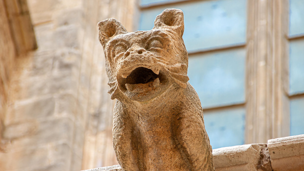 2020-01-18-11-23-42-Canon-EOS-7D.jpg