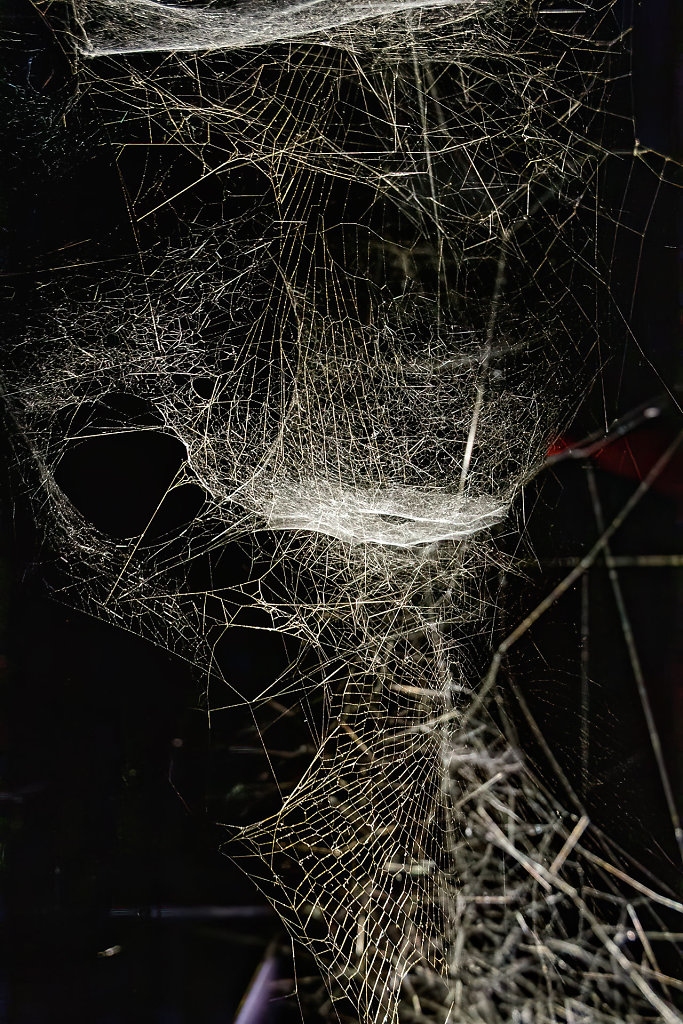 Thomas Saraceno - Aria