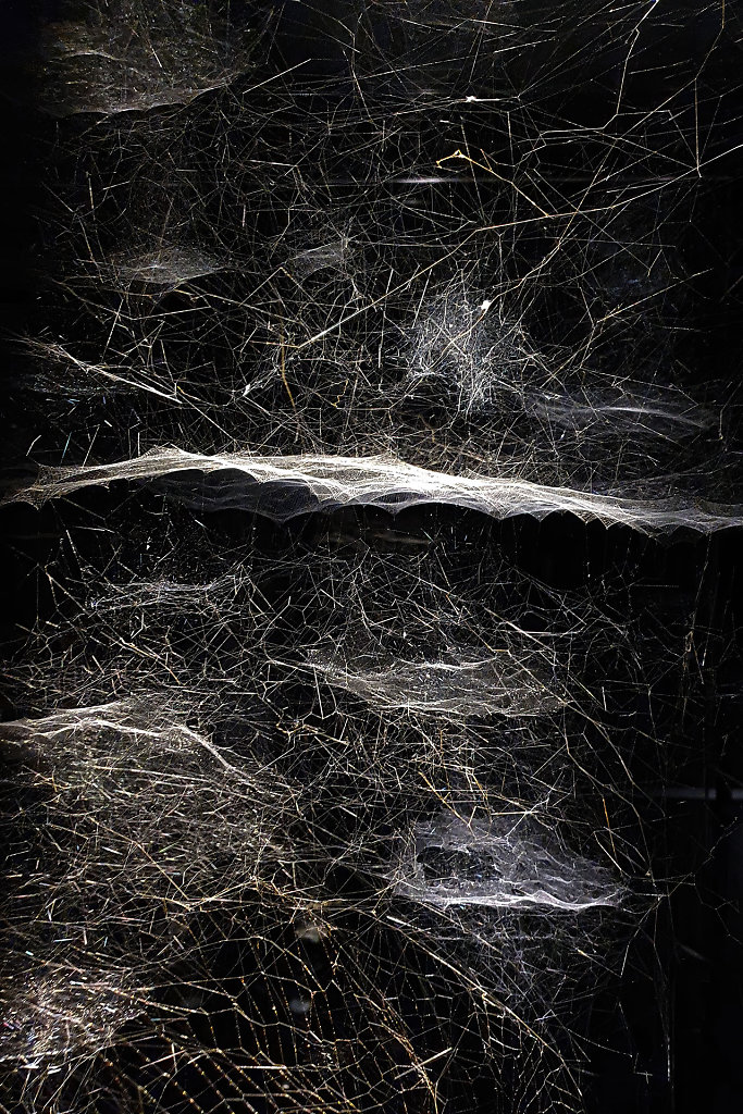 Thomas Saraceno - Aria