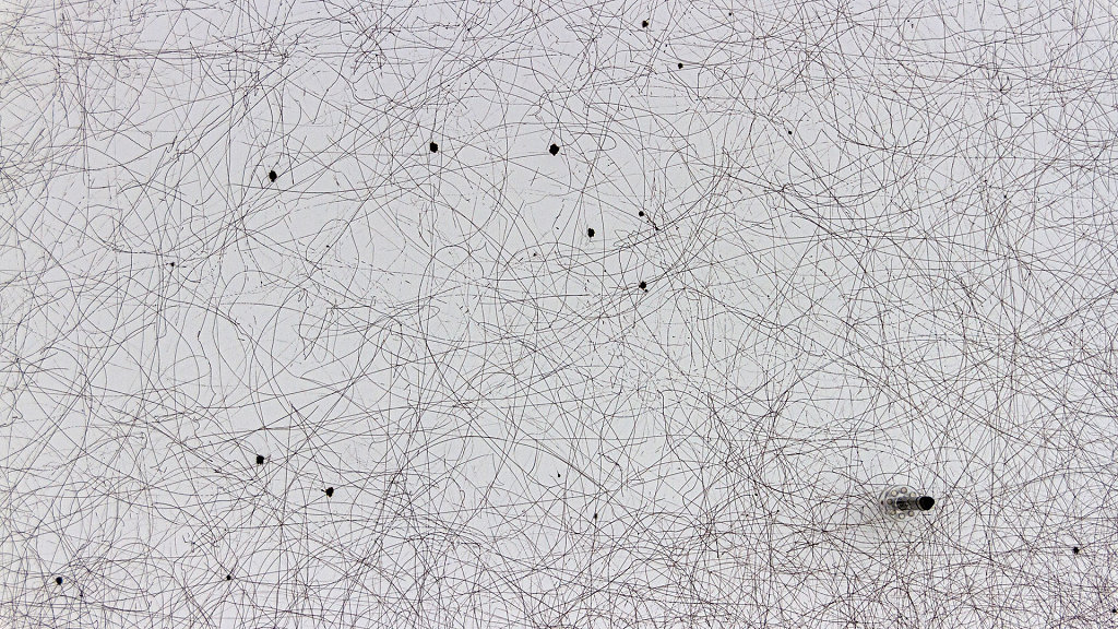 Thomas Saraceno - Aria