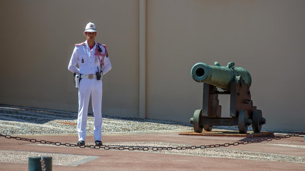 Le Palais des Princes de Monaco