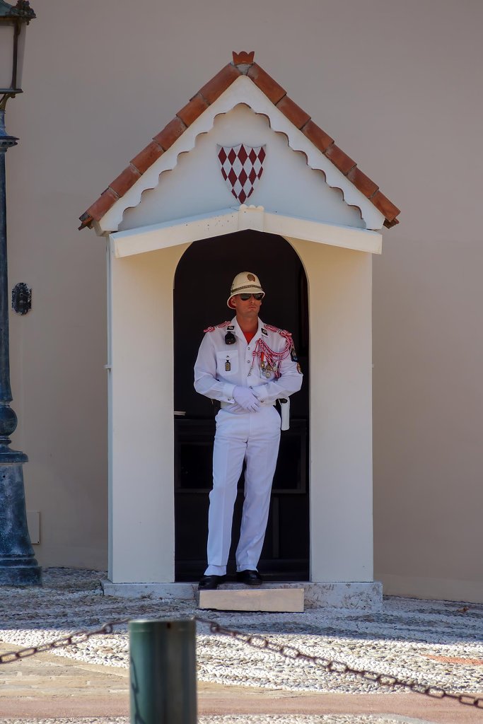 Le Palais des Princes de Monaco
