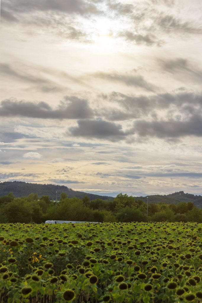20200820183021-HRZ-0183-HDR.jpg
