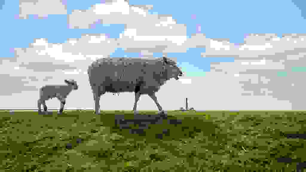 20210417141452-5FV-4676.jpg