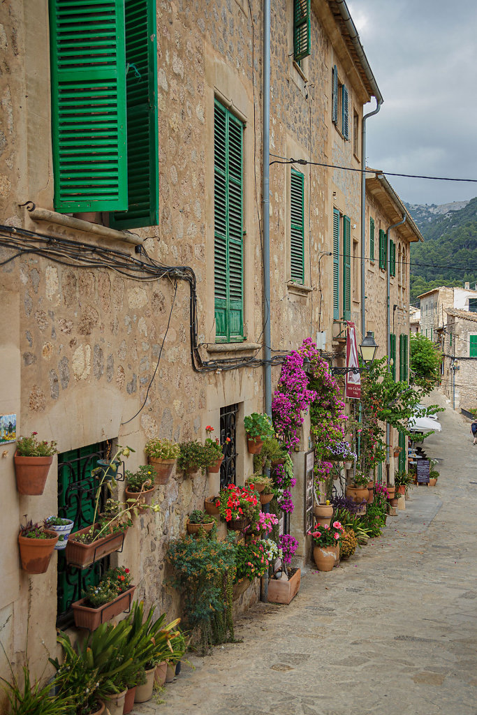  Valldemossa