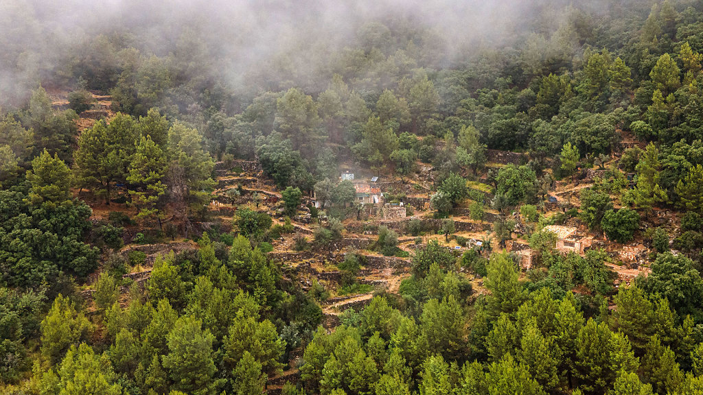 20210801112300-DJI-0116.jpg