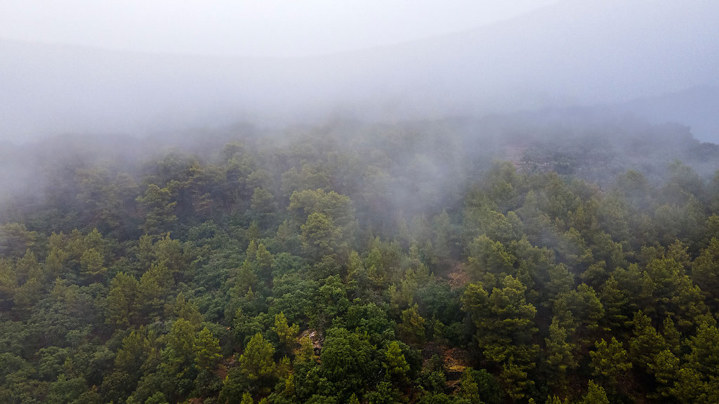 20210801112402-DJI-0121-HDR.jpg