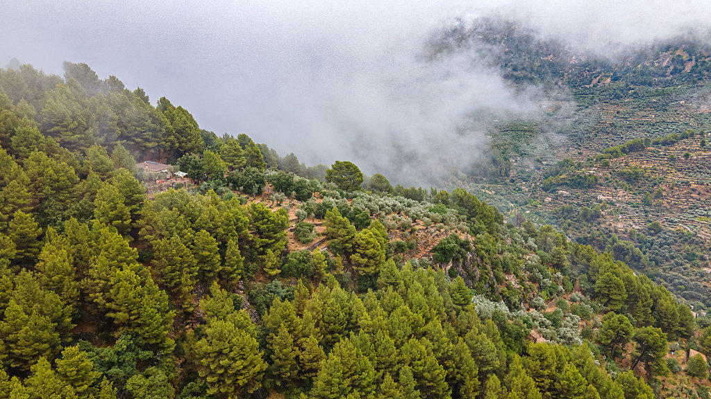 20210801112410-DJI-0124-HDR.jpg