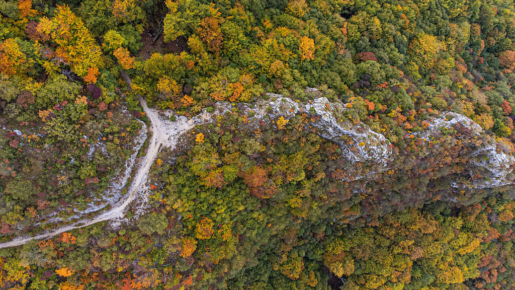 20211021-135229-DJI-0036.jpg