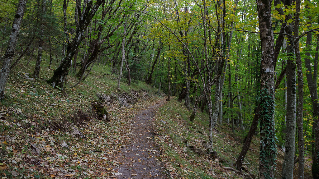 20211021-142646-TIA-1802.jpg