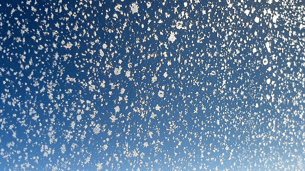 20220124-115213-20220124-135213.jpg
