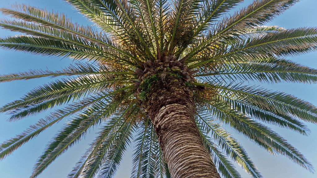 20220125-101232-PDL-0042.jpg