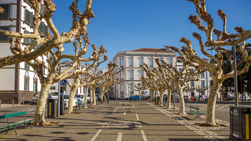 Campo de São Francisco