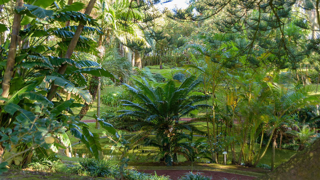 Jardim Botânico António Borges