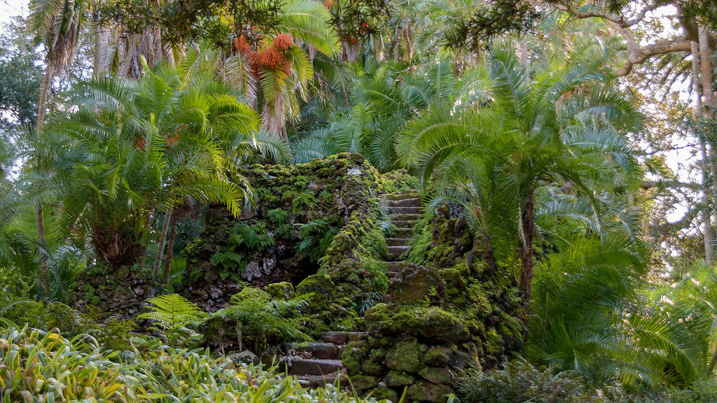 Jardim Botânico António Borges