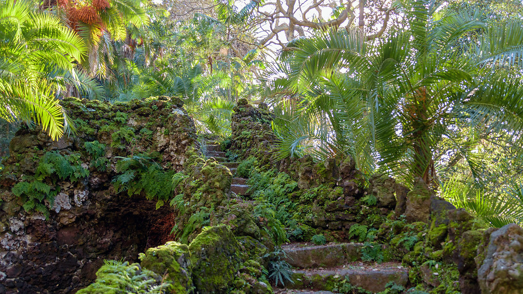 Jardim Botânico António Borges