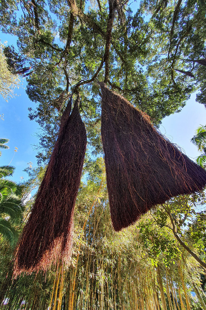 Jardim Botânico António Borges