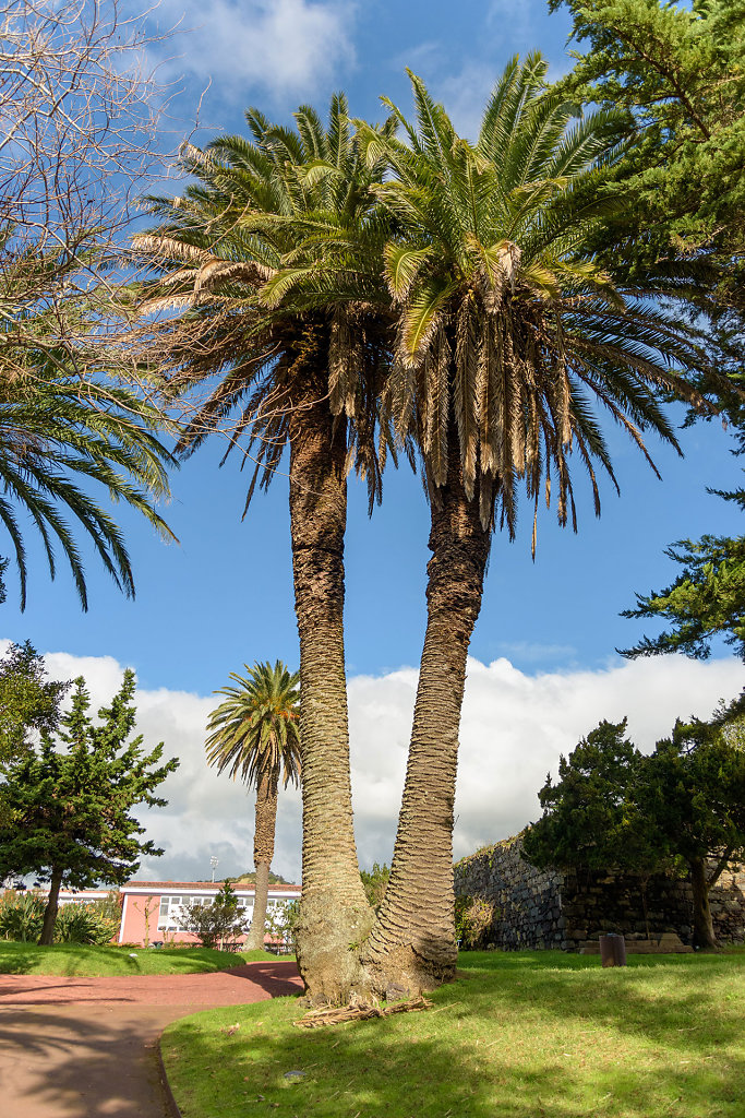 Jardim Botânico António Borges