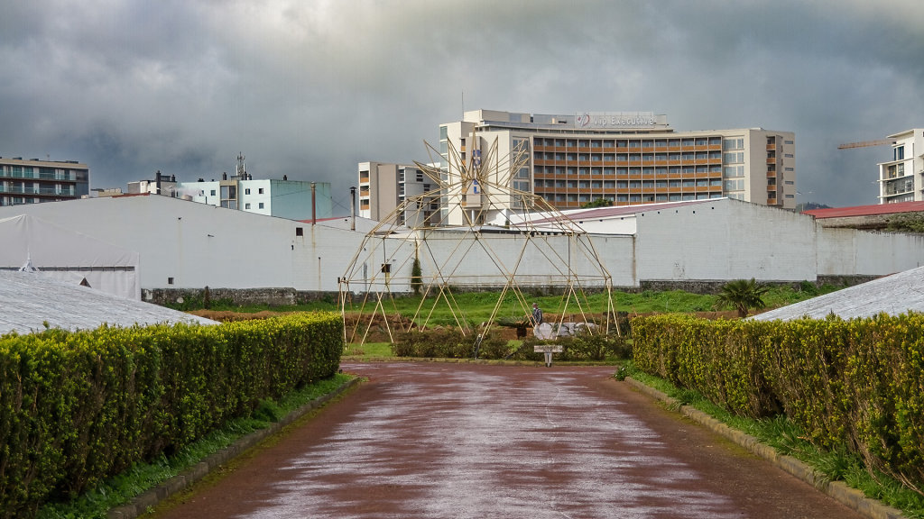 Plantação de Ananás dos Açores