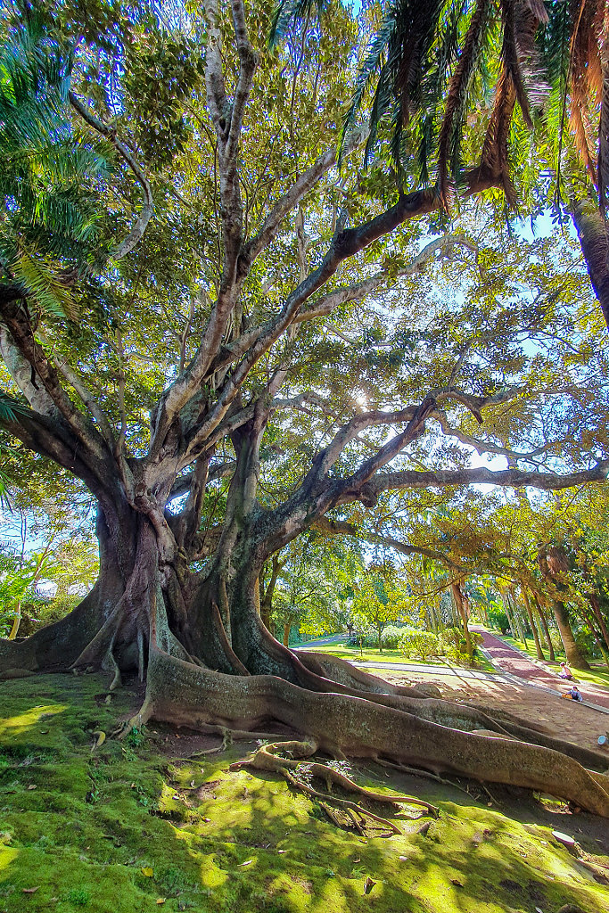 Jardim Botânico António Borges