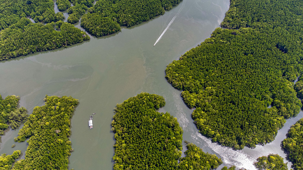 20220306-141520-DJI-0283-HDR.jpg