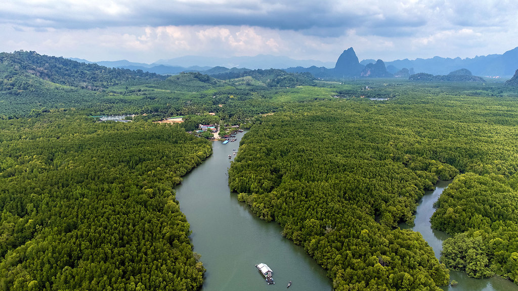 20220306-141922-DJI-0290-HDR.jpg