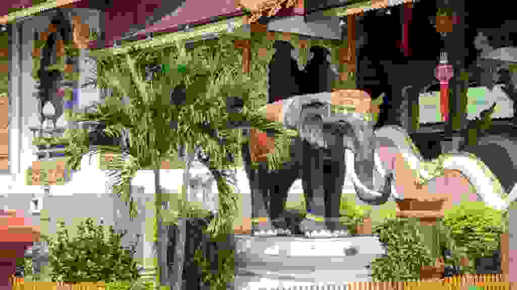 20220311-111455-THA-1061.jpg