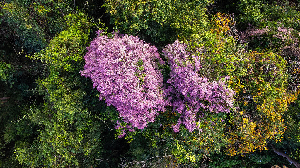 20220312-152301-DJI-0418.jpg