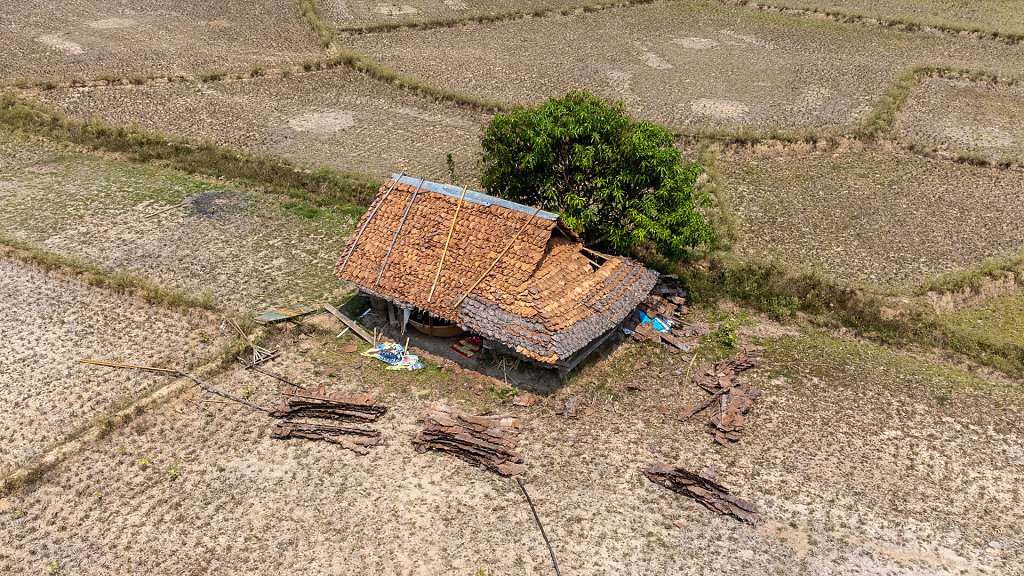 20220313-132635-DJI-0498-HDR.jpg