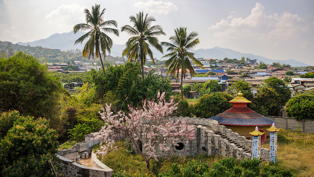 20220313-145052-THA-1319-HDR.jpg