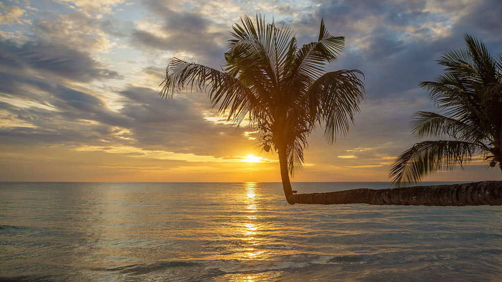 20220404-180444-THA-4286-HDR.jpg