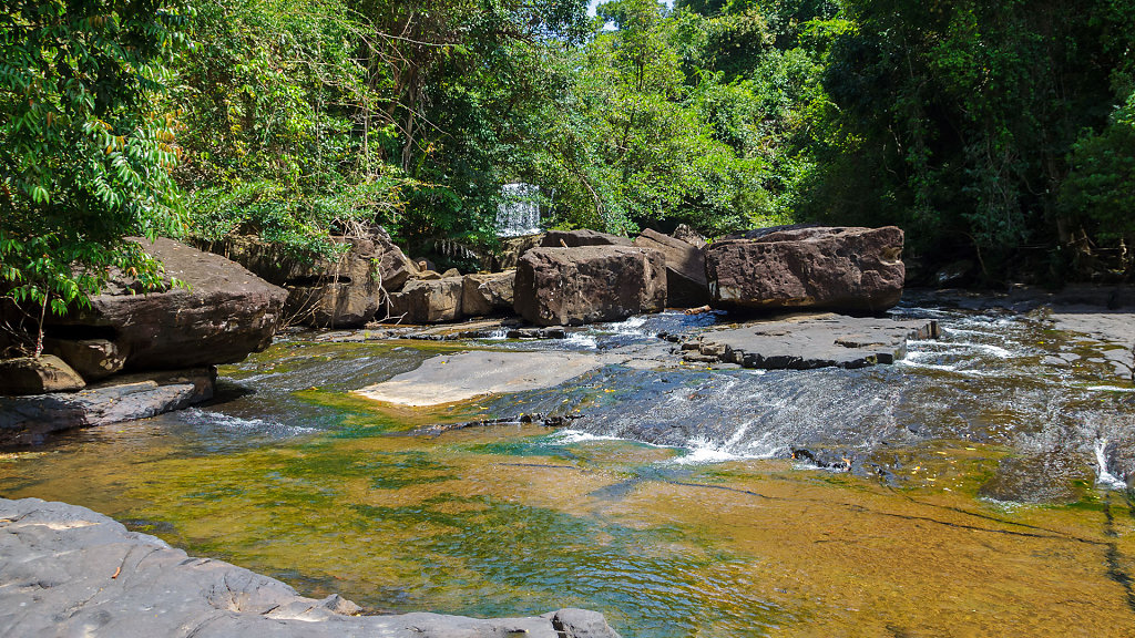 20220405-110153-THA-4350-HDR.jpg