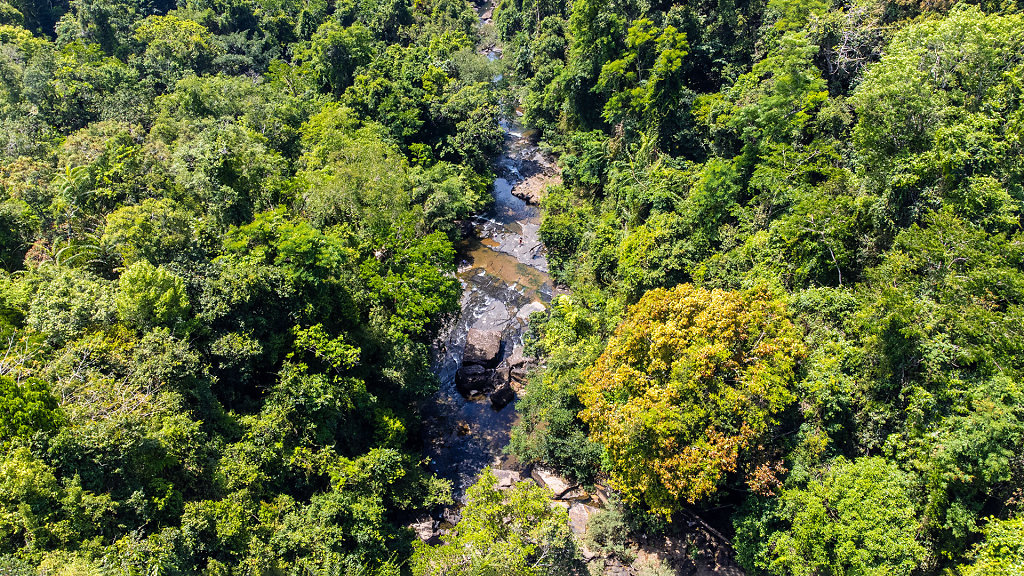 20220405-110728-DJI-0880-HDR.jpg