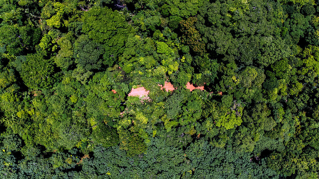 20220405-121436-DJI-0894-HDR.jpg