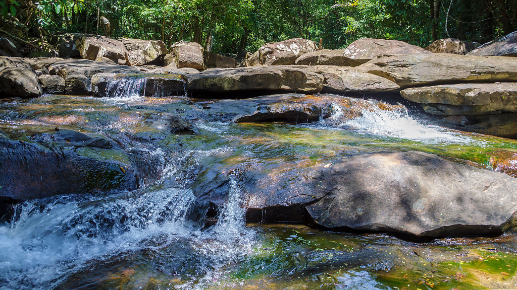 20220405-123909-THA-4371-HDR.jpg