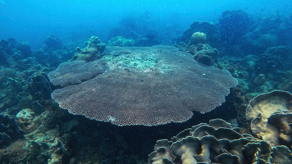 20220407-110728-GOPR0187.jpg