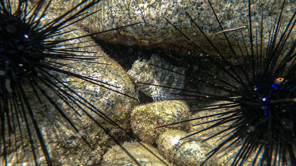 20220407-124556-GOPR0244.jpg