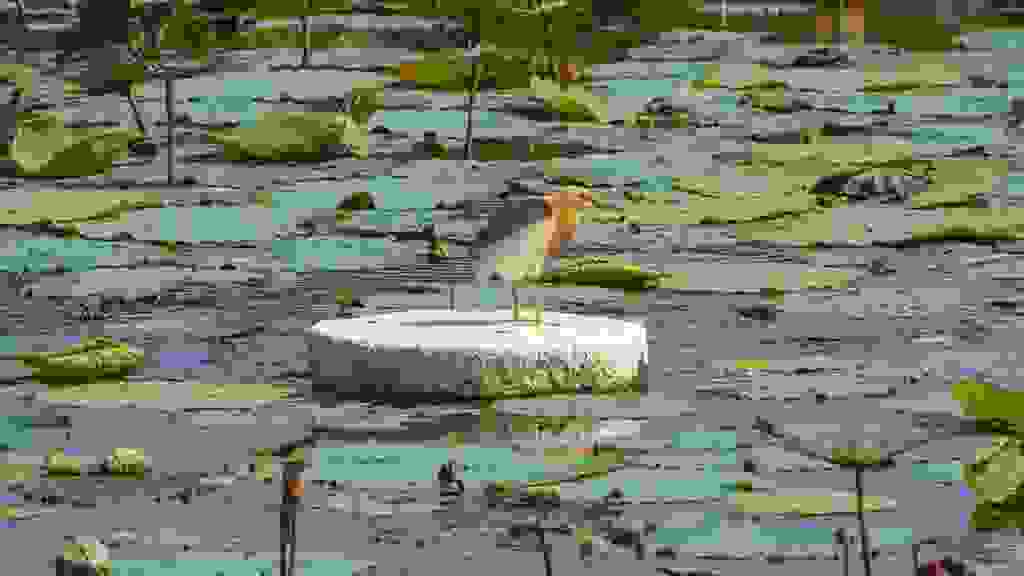 20220415-150024-THA-5961.jpg