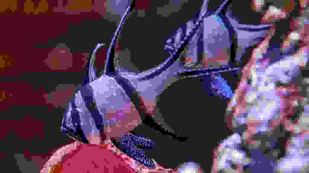 20220425-165032-THA-7901.jpg