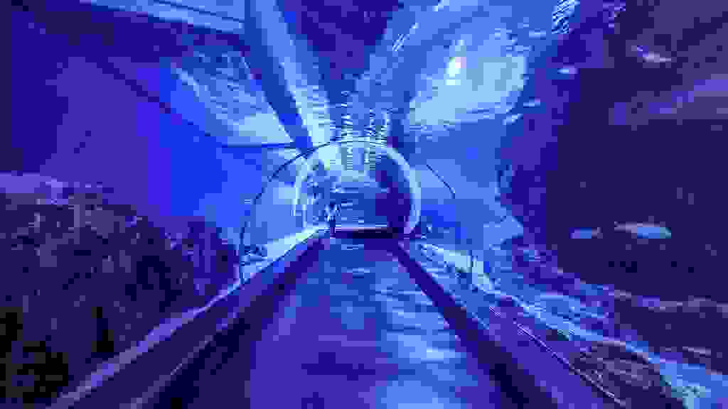 20220425-173832-20220425-173832.jpg