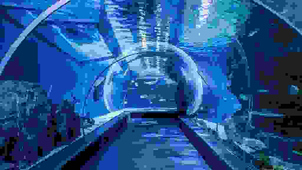 20220425-174342-THA-7964.jpg