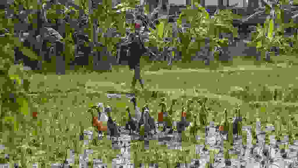 20220428-110919-IND-0014.jpg