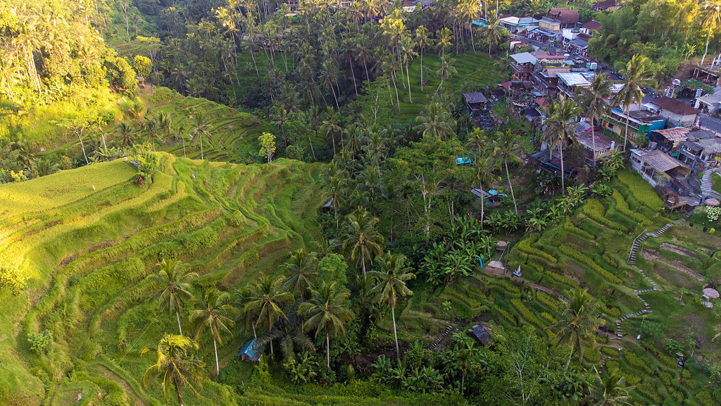 20220509-171905-DJI-0001-HDR.jpg